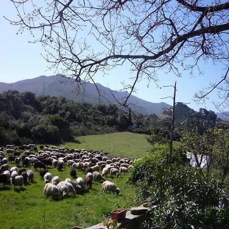 A Camera Di A Vigna Casta Exteriér fotografie