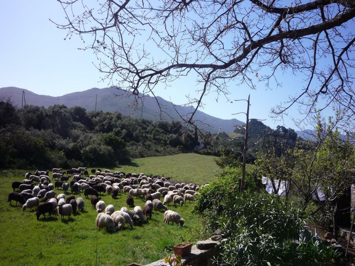 A Camera Di A Vigna Casta Exteriér fotografie